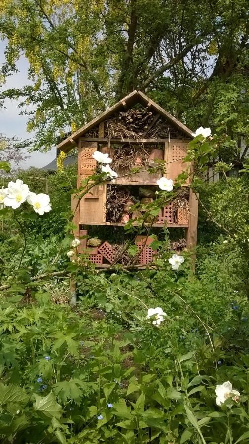 Bed and Breakfast La Parenthese Hautot-l'Auvray Exterior foto
